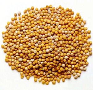 Mustard seed — Jesus used this very small seed to illustrate how an amazing outcome can come from only a small amount of faith