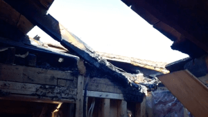 Screen Shot 2016-03-25 at 12.06.04 PM